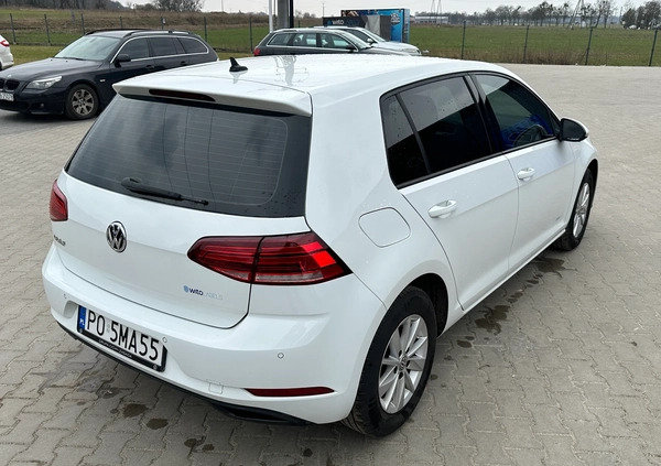Volkswagen Golf cena 63900 przebieg: 58523, rok produkcji 2019 z Rzepin małe 29